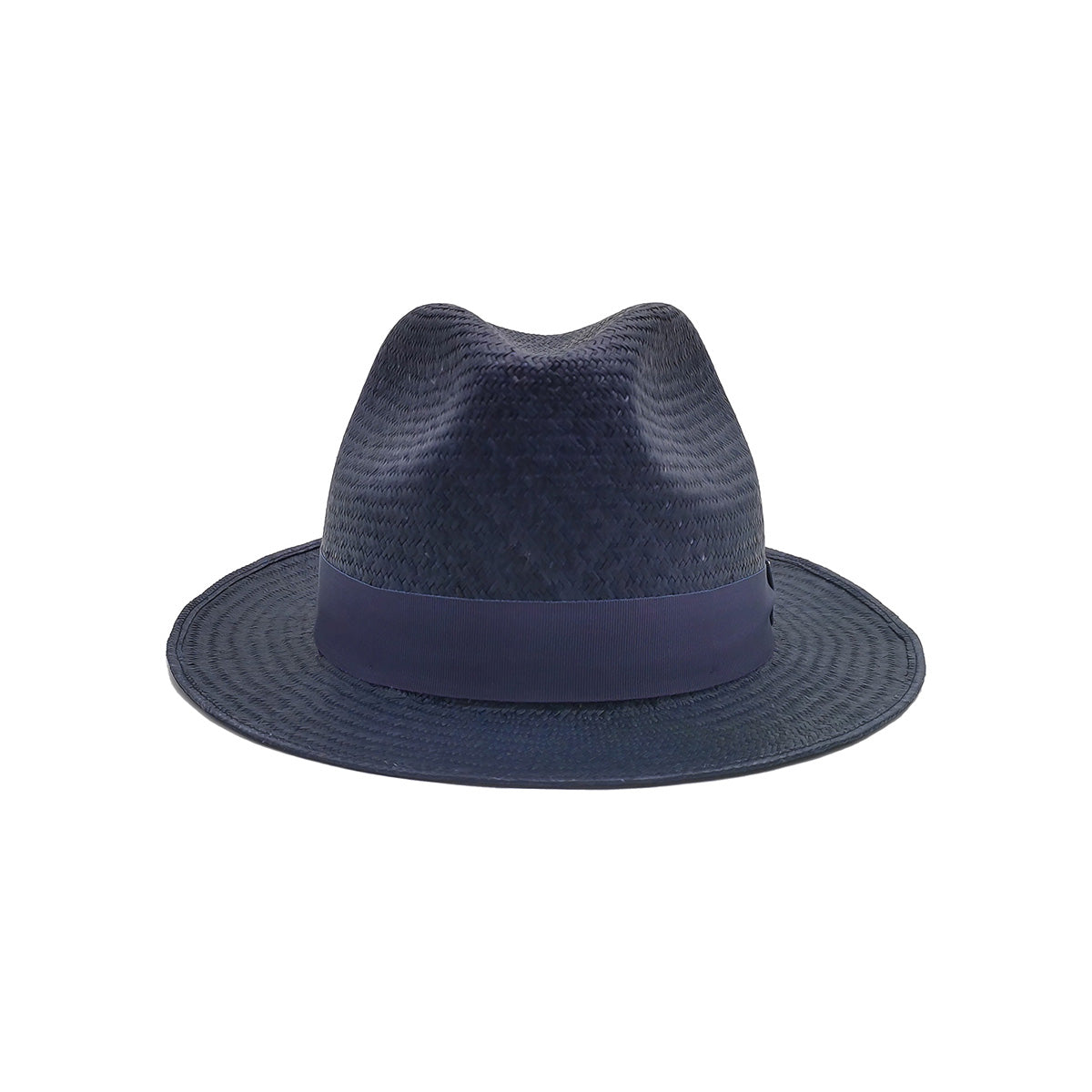 doria-1905-vittorio-fedora-in-panama-cuenca-naturale image 3