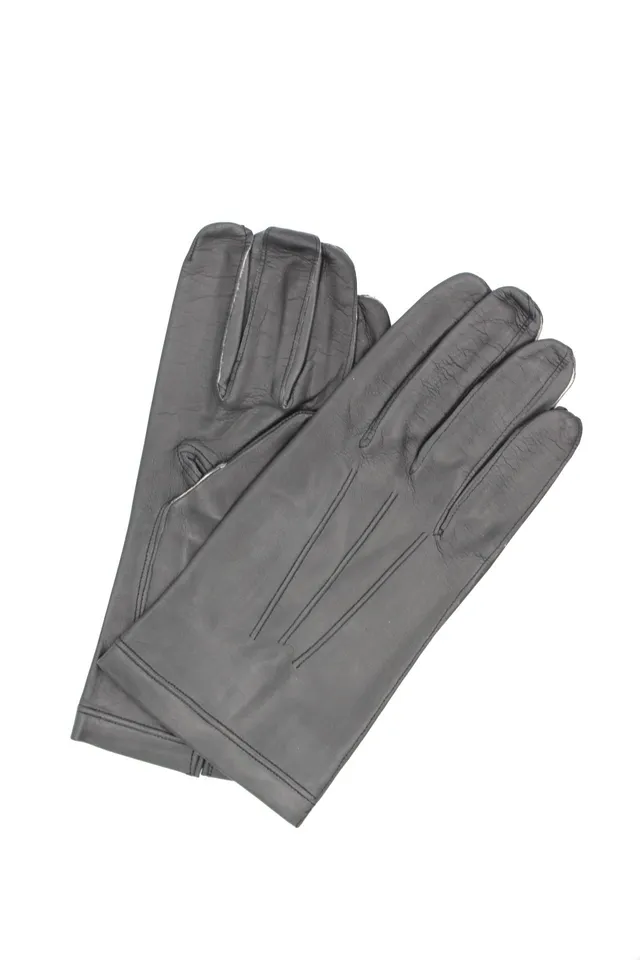 sermoneta-gloves-guanto-da-uomo-in-nappa-con-fodera-in-seta-grigio image 1