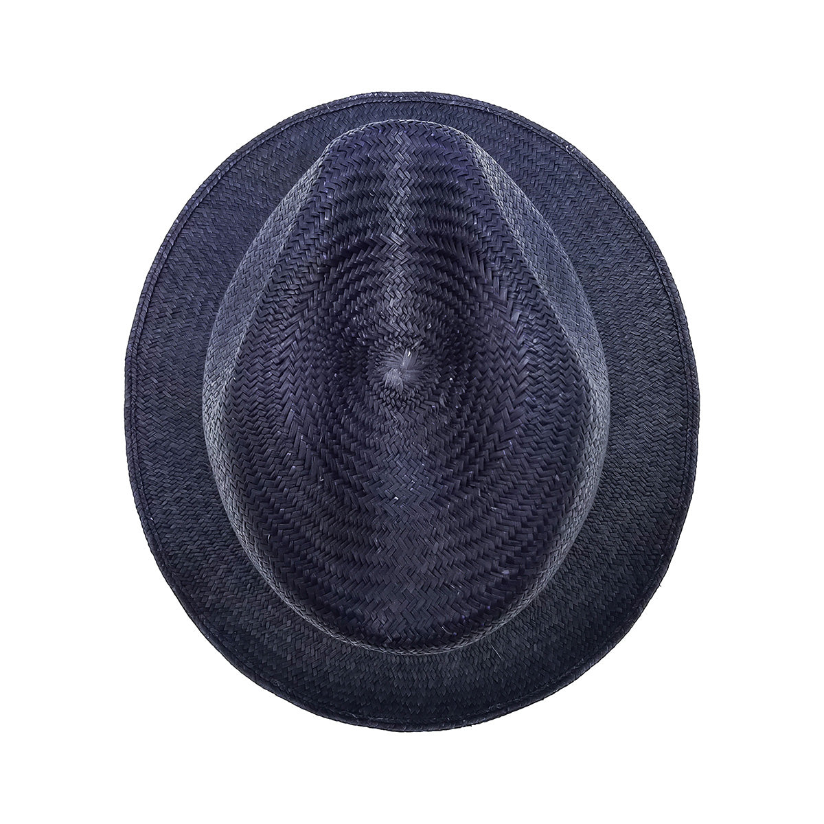 doria-1905-vittorio-fedora-in-panama-cuenca-naturale image 4
